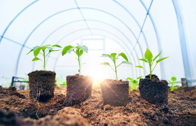 Data Center with Windows Servers